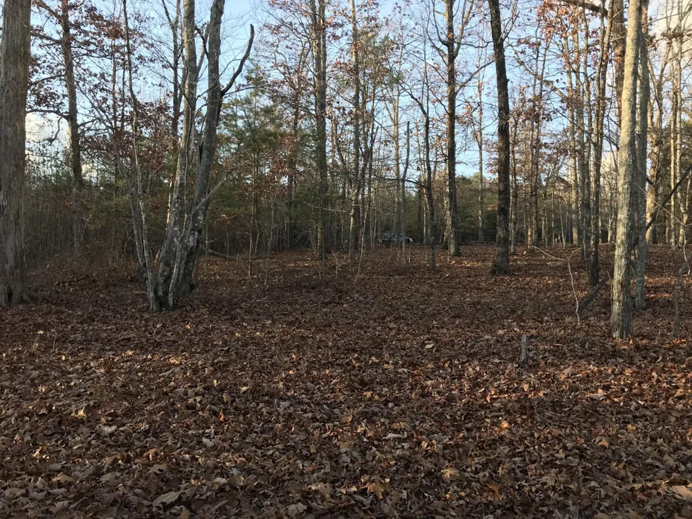 1 Vista View Drive S Dunlap, TN 37327