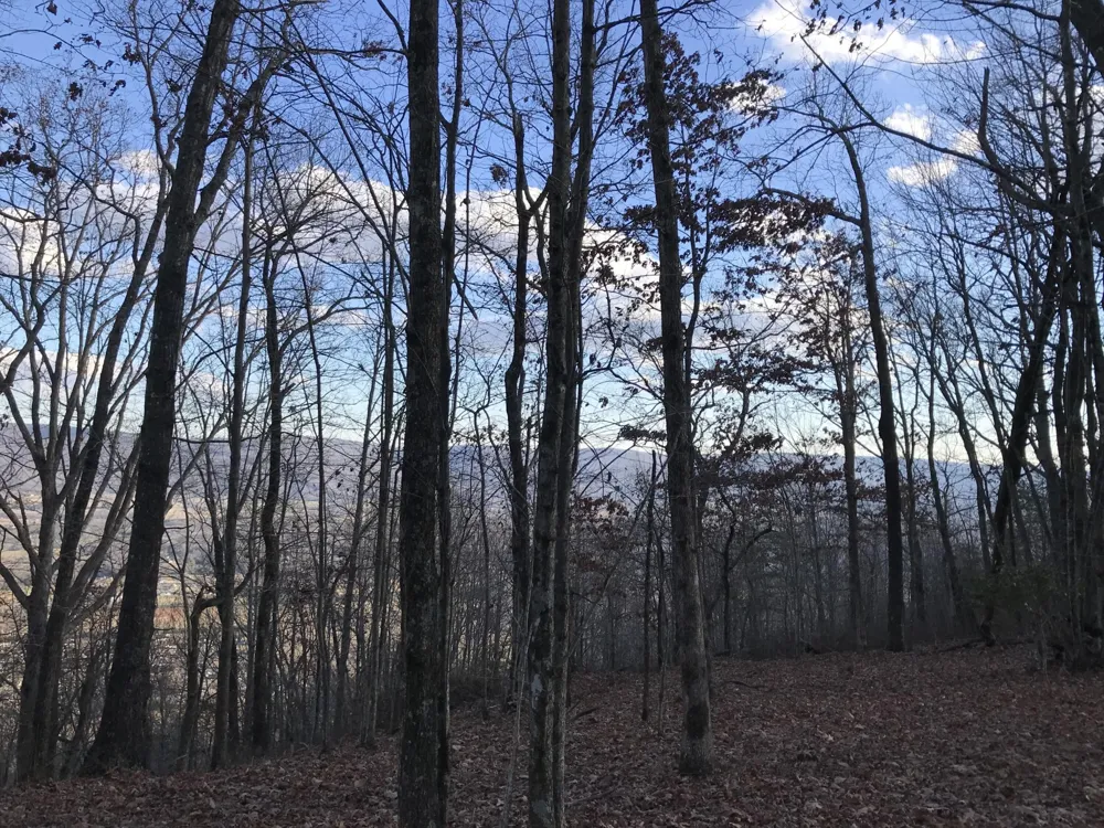 1 Vista View Drive S Dunlap, TN 37327