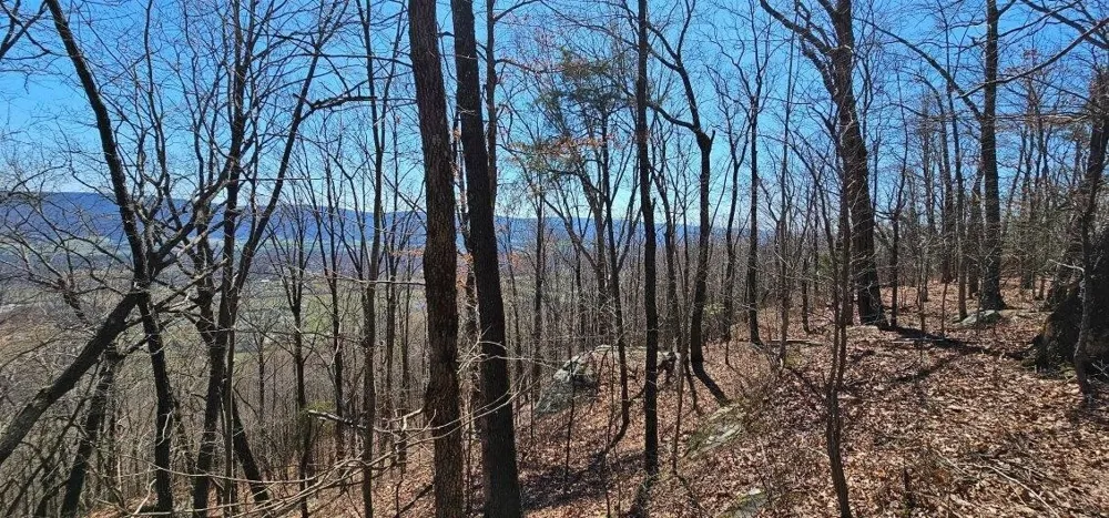 1 Vista View Drive S Dunlap, TN 37327