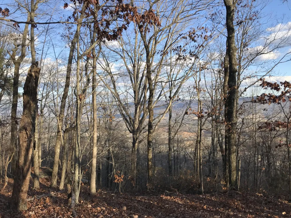 1 Vista View Drive S Dunlap, TN 37327