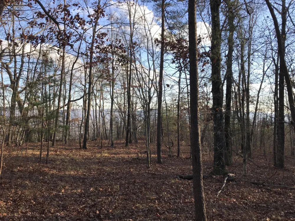 1 Vista View Drive S Dunlap, TN 37327