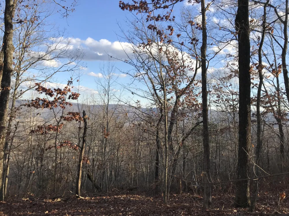 1 Vista View Drive S Dunlap, TN 37327