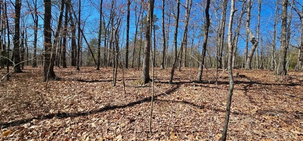 1 Vista View Drive S Dunlap, TN 37327