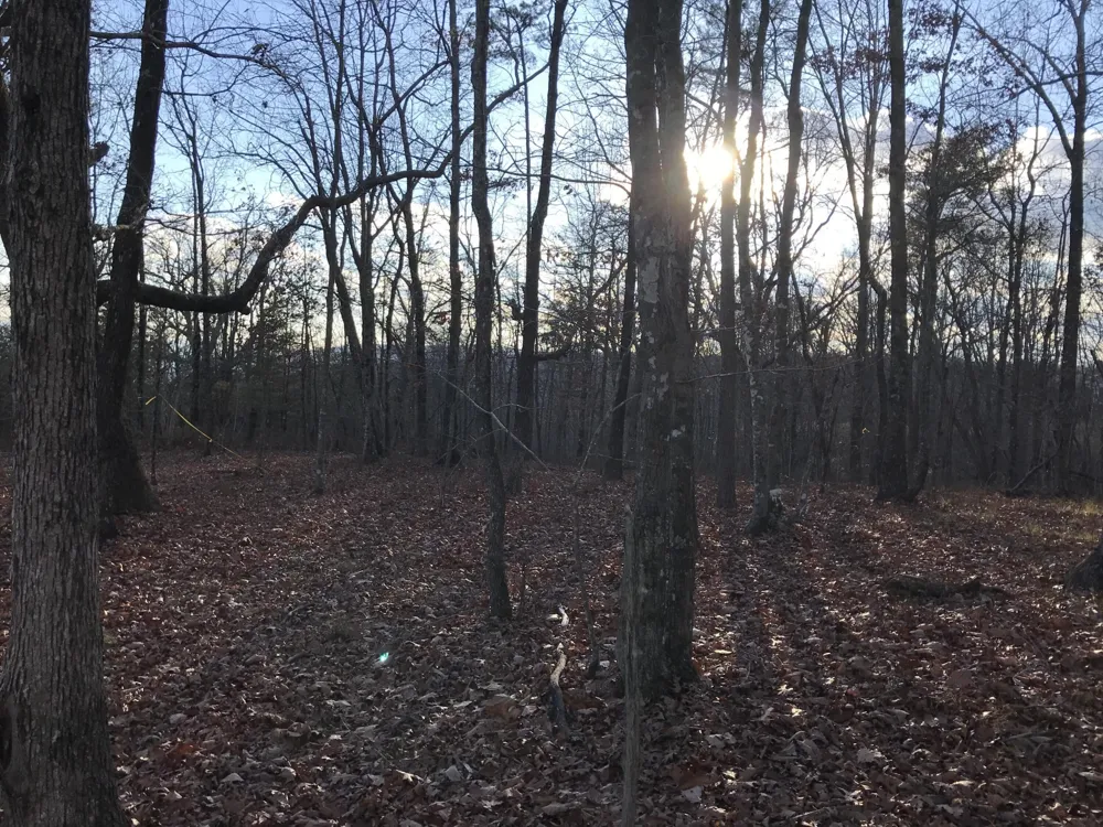 1 Vista View Drive S Dunlap, TN 37327