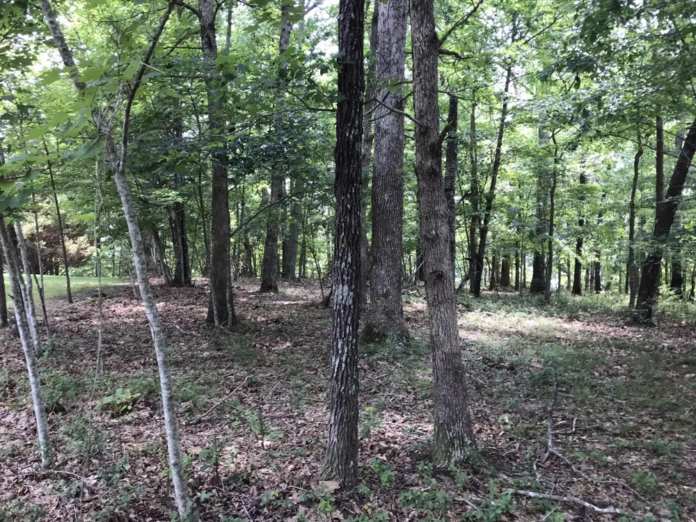 1 Vista View Drive S Dunlap, TN 37327