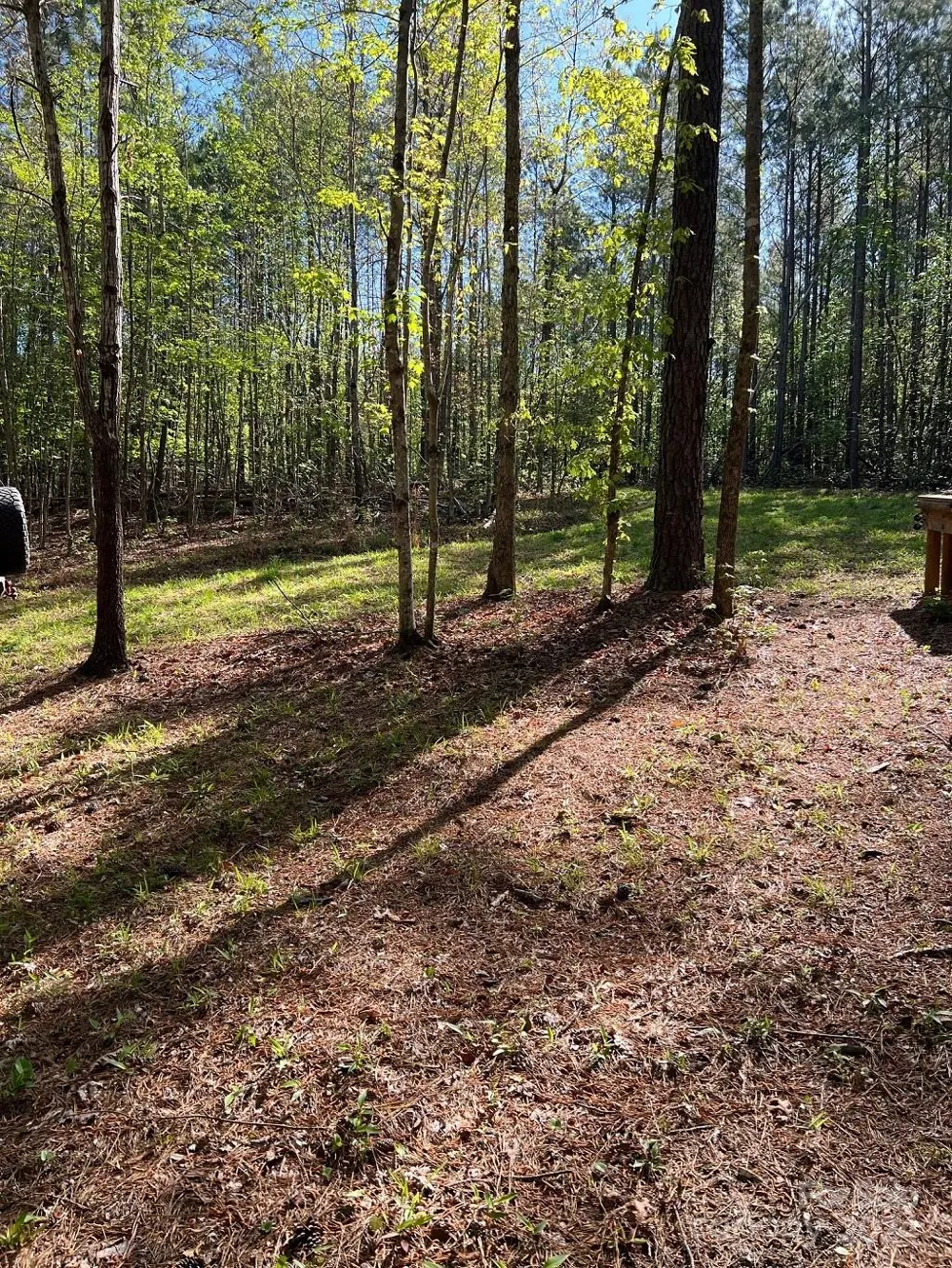 00 Sanctuary Lane Lilesville, NC 28091