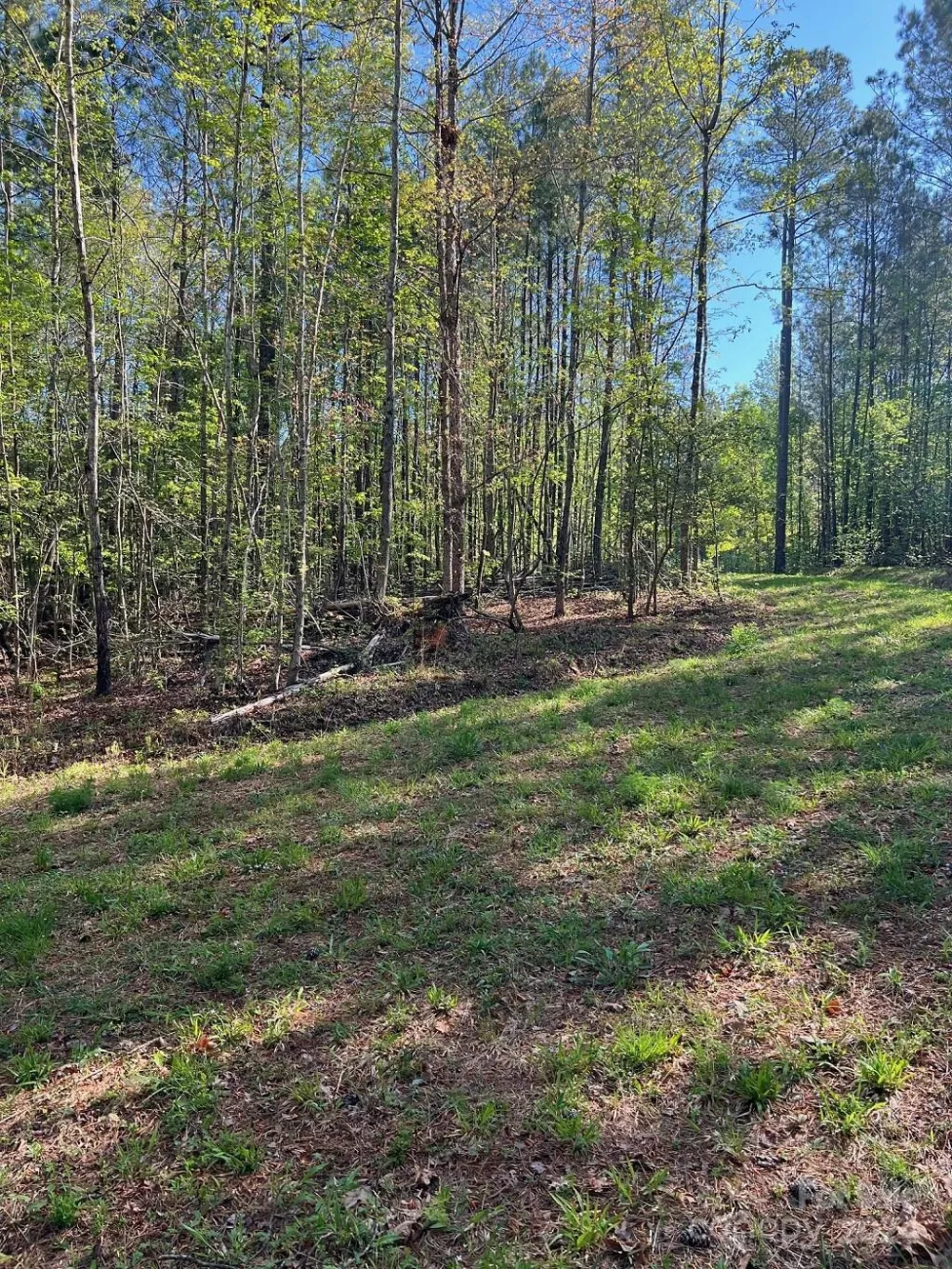 00 Sanctuary Lane Lilesville, NC 28091