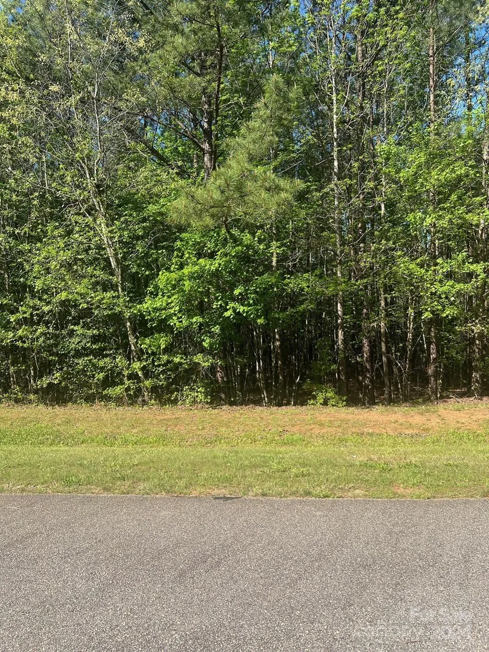 00 Sanctuary Lane Lilesville, NC 28091