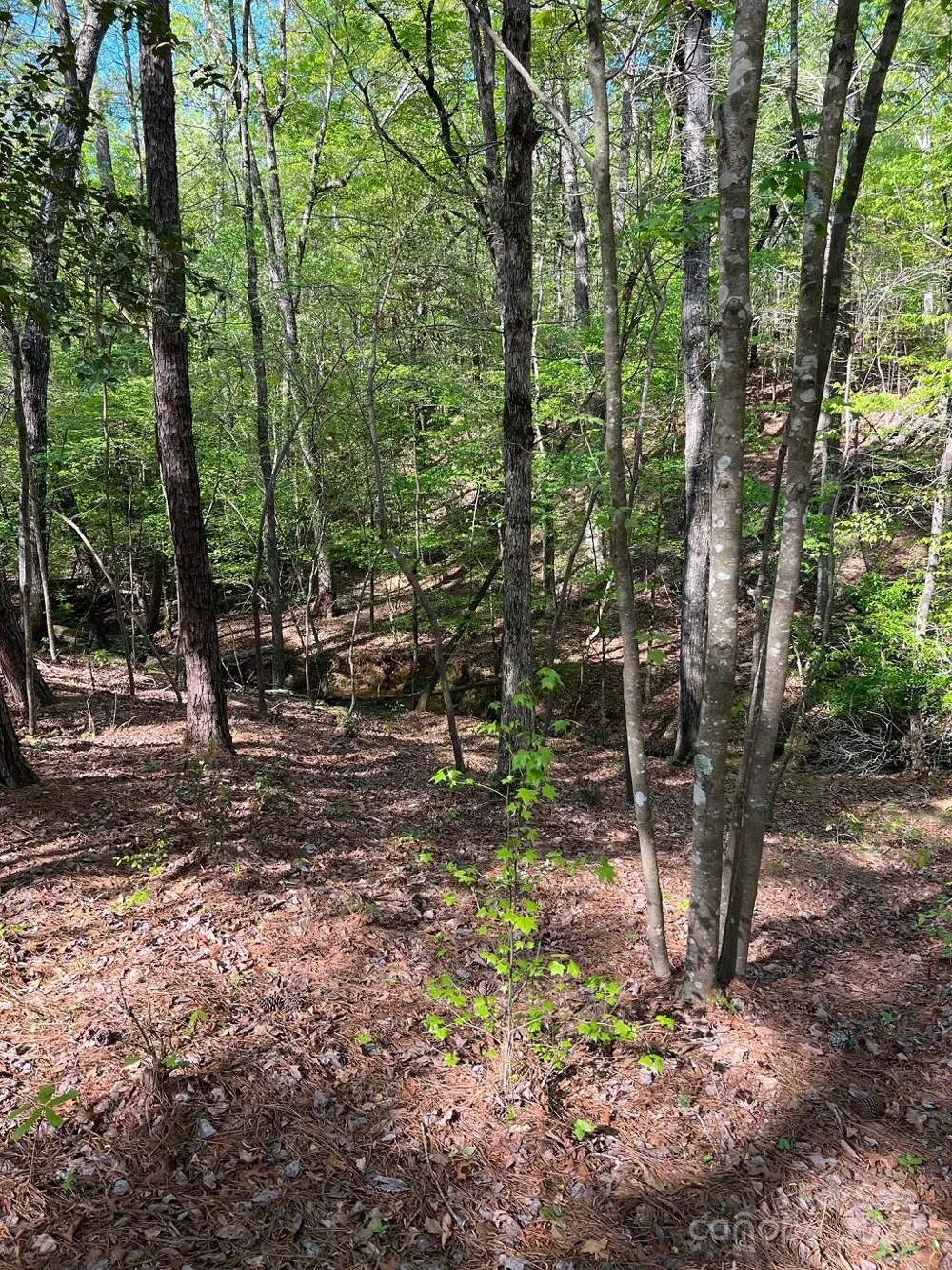 00 Sanctuary Lane Lilesville, NC 28091