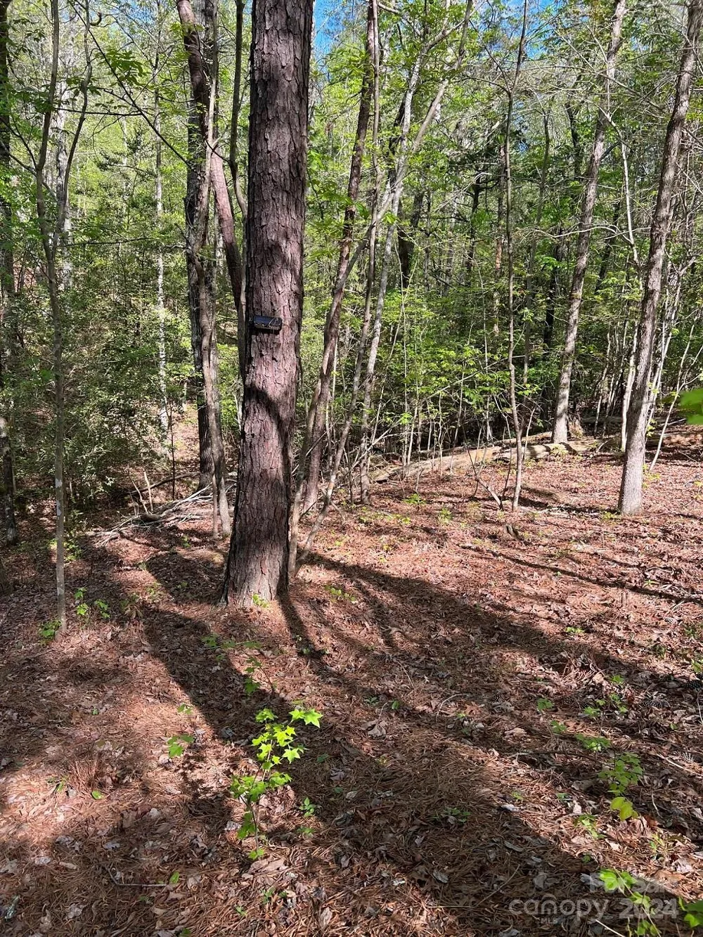 00 Sanctuary Lane Lilesville, NC 28091