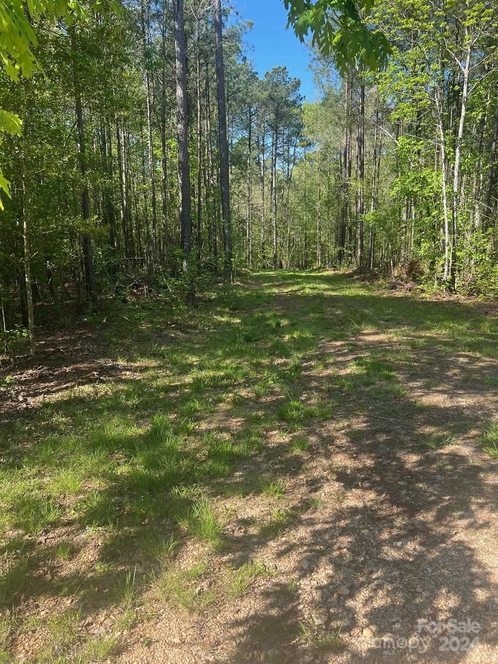 00 Sanctuary Lane Lilesville, NC 28091