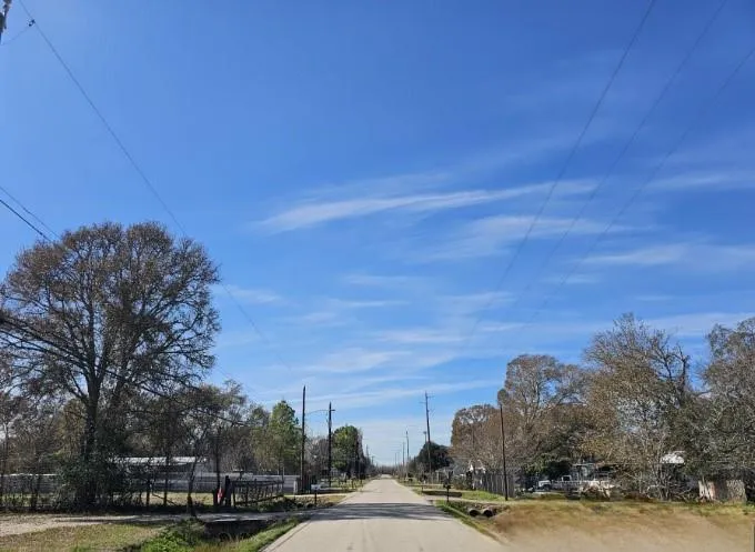 Pine Street Arcola, TX 77583