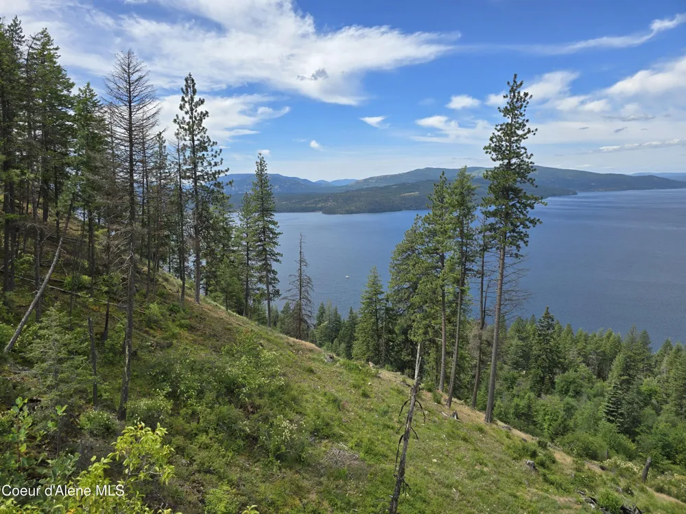 1935 Eagen Mountain Dr Hope, ID 83836