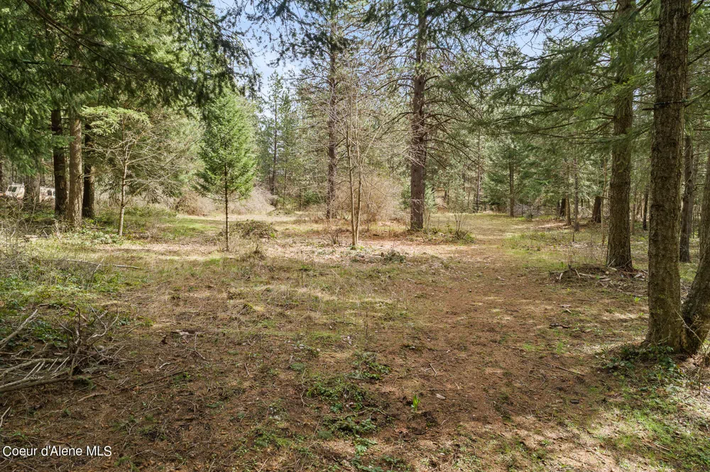 15974 Boise Street Rathdrum, ID 83858