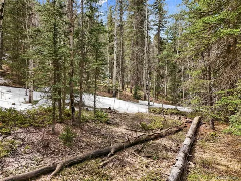 464 E Bison Creek Trail