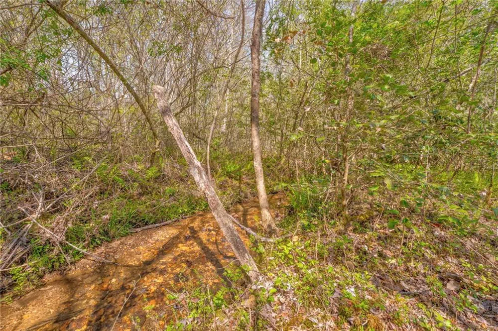 365 Waters Road McCaysville, GA 30555