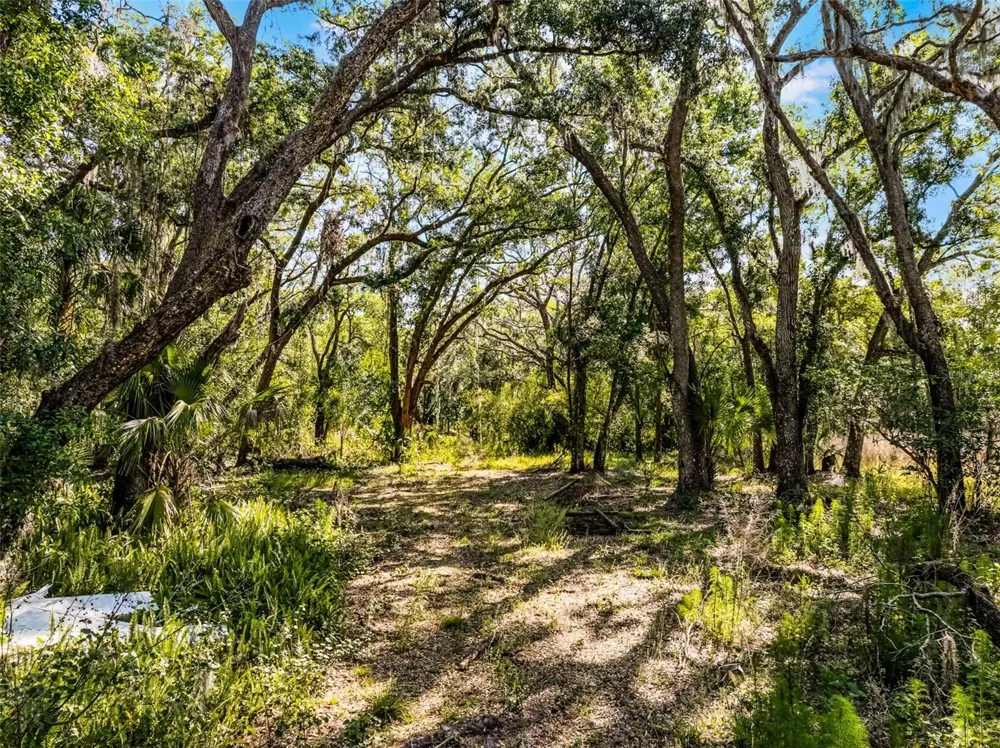3633 PANTHER PATH ROAD Lutz, FL 33559