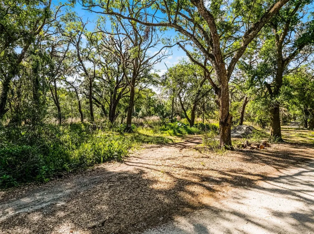 3633 PANTHER PATH ROAD Lutz, FL 33559
