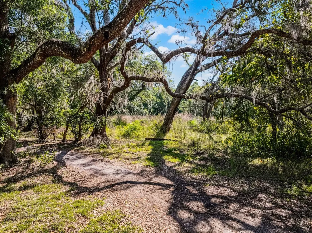 3633 PANTHER PATH ROAD Lutz, FL 33559