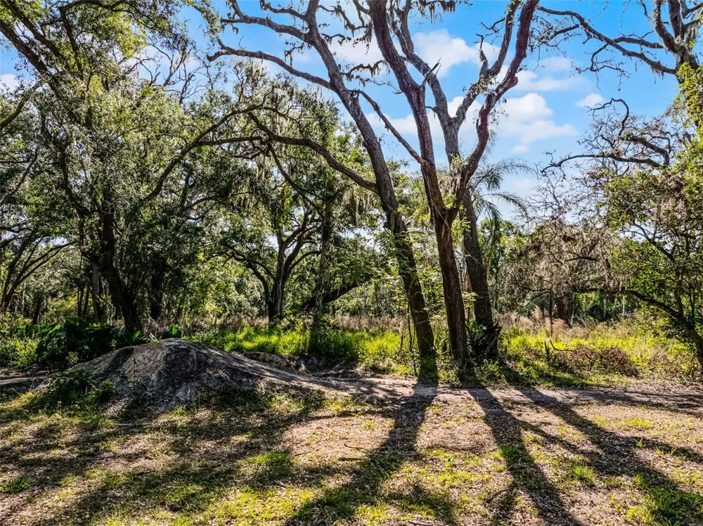 3633 PANTHER PATH ROAD Lutz, FL 33559