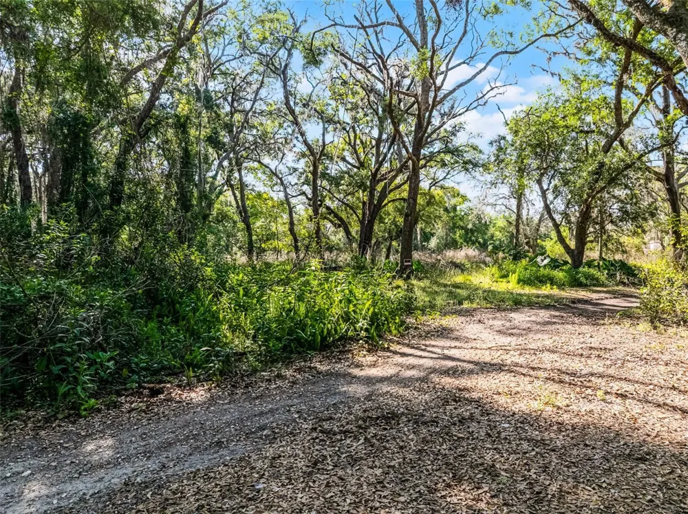 3633 PANTHER PATH ROAD Lutz, FL 33559
