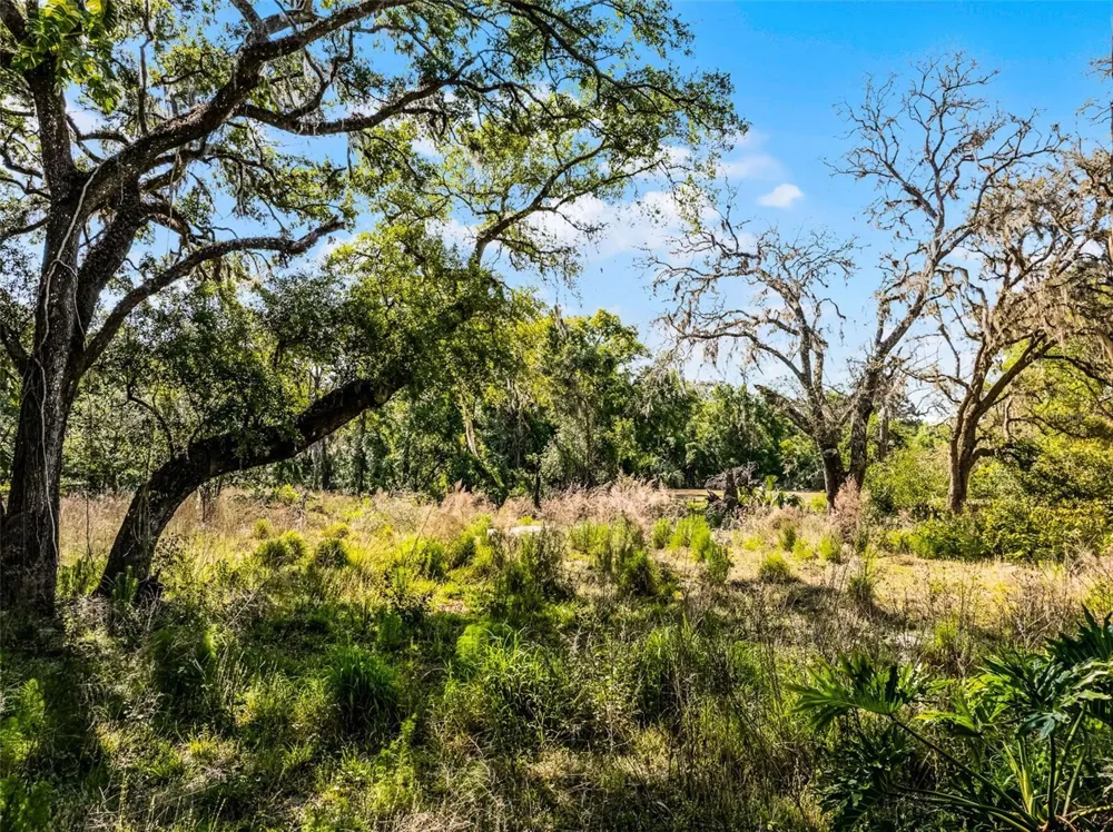 3633 PANTHER PATH ROAD Lutz, FL 33559