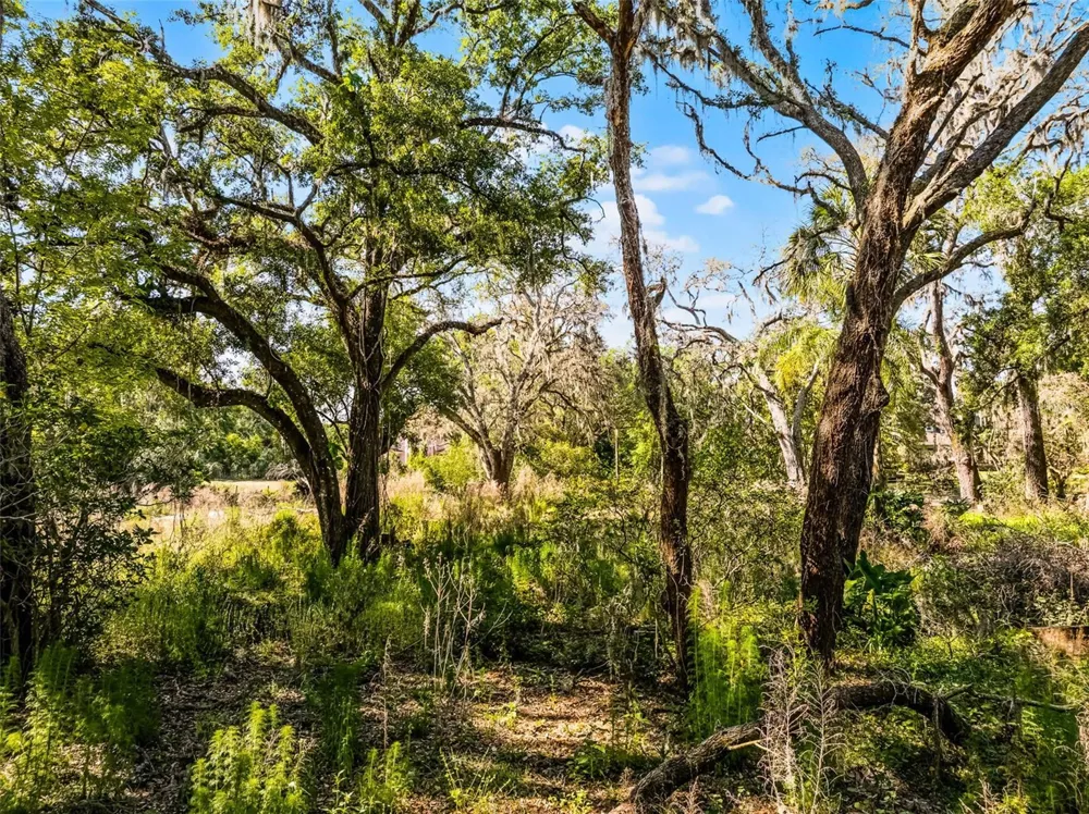 3633 PANTHER PATH ROAD Lutz, FL 33559