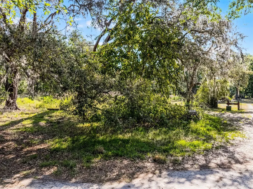 3633 PANTHER PATH ROAD Lutz, FL 33559