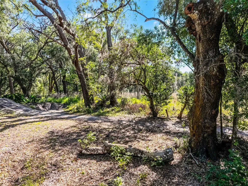 3633 PANTHER PATH ROAD Lutz, FL 33559