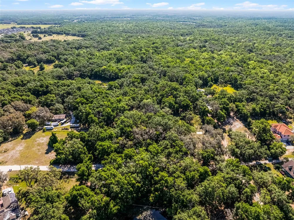 3633 PANTHER PATH ROAD Lutz, FL 33559