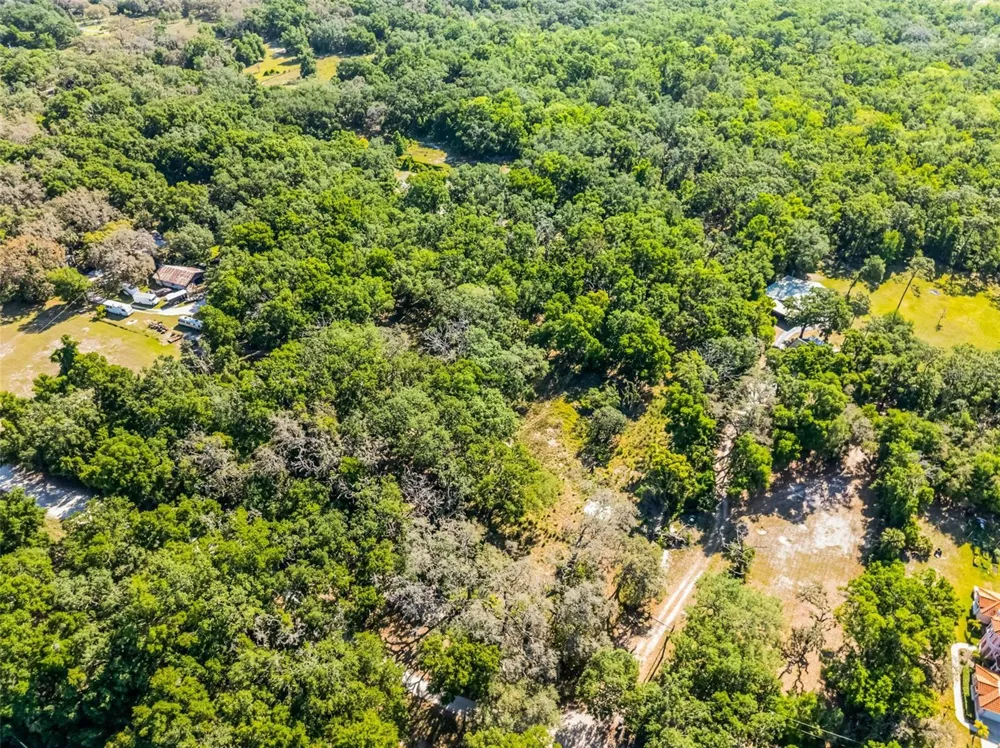 3633 PANTHER PATH ROAD Lutz, FL 33559