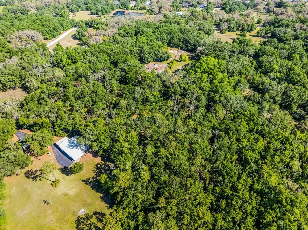 3633 PANTHER PATH ROAD Lutz, FL 33559