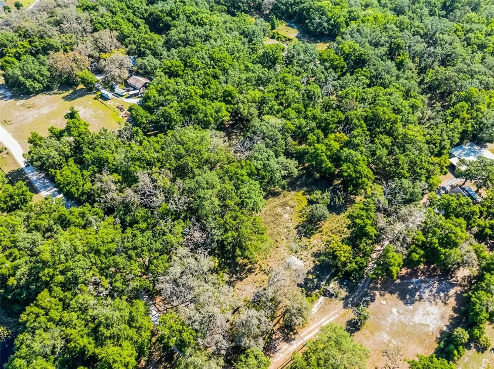 3633 PANTHER PATH ROAD Lutz, FL 33559