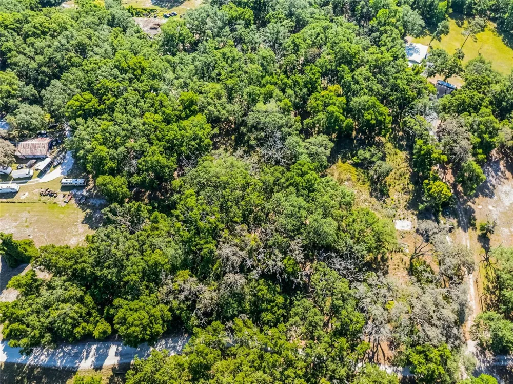 3633 PANTHER PATH ROAD Lutz, FL 33559