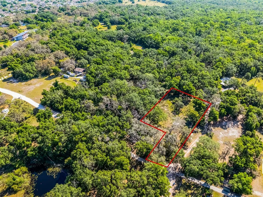 3633 PANTHER PATH ROAD Lutz, FL 33559