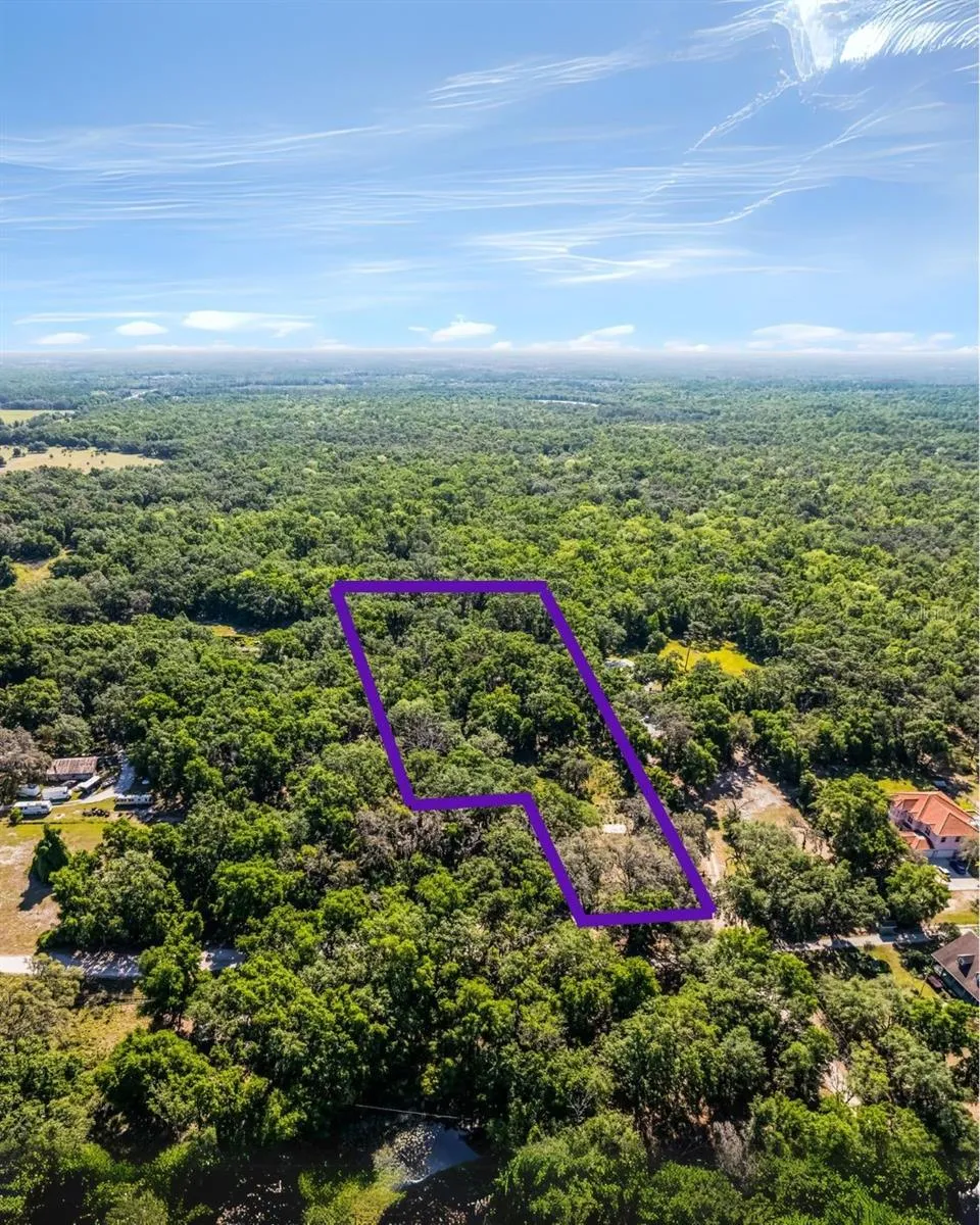 3633 PANTHER PATH ROAD Lutz, FL 33559