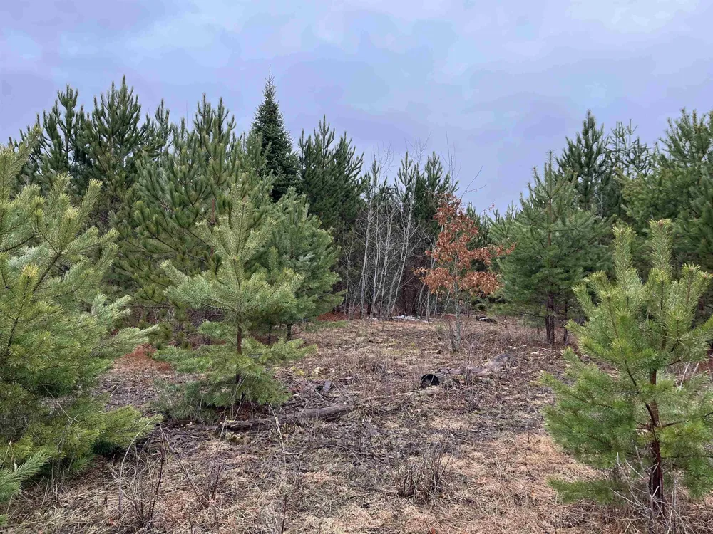 10299 Levi Lane Paradise Township, MI 49649