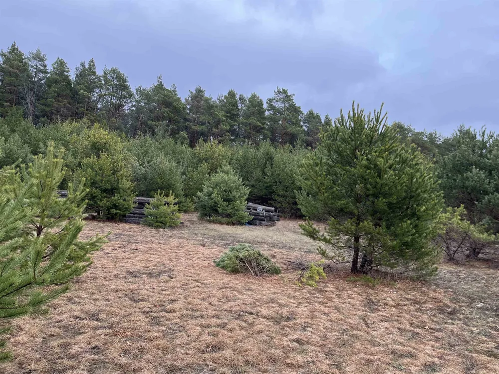 10299 Levi Lane Paradise Township, MI 49649