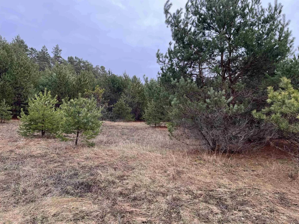 10299 Levi Lane Paradise Township, MI 49649