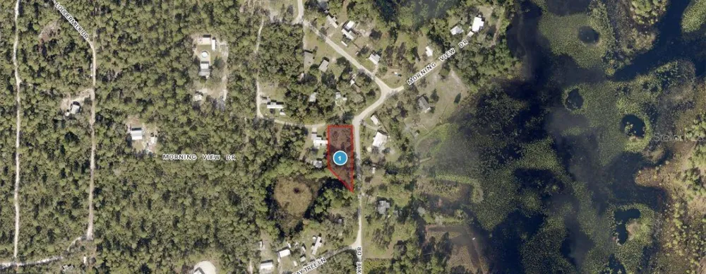 MORNING VIEW DRIVE Paisley, FL 32767