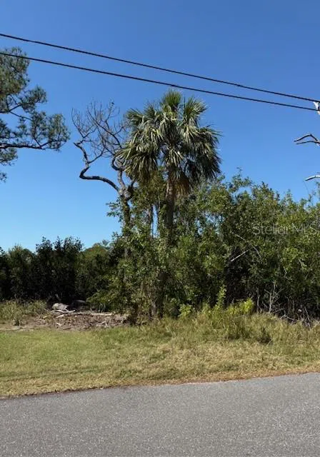 SEA BREEZE DRIVE Tarpon Springs, FL 34689