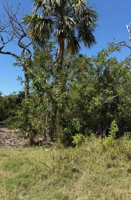SEA BREEZE DRIVE Tarpon Springs, FL 34689
