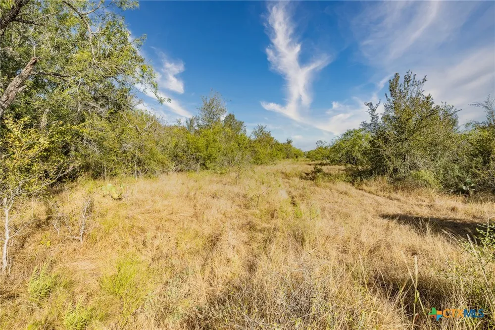 Fm 108 Smiley, TX 78159
