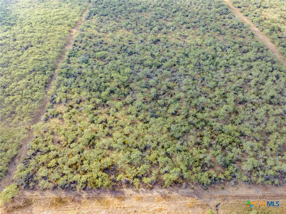 Fm 108 Smiley, TX 78159