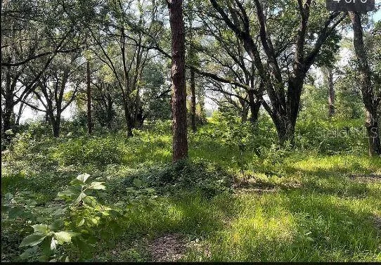 SR-19 Groveland, FL 34736