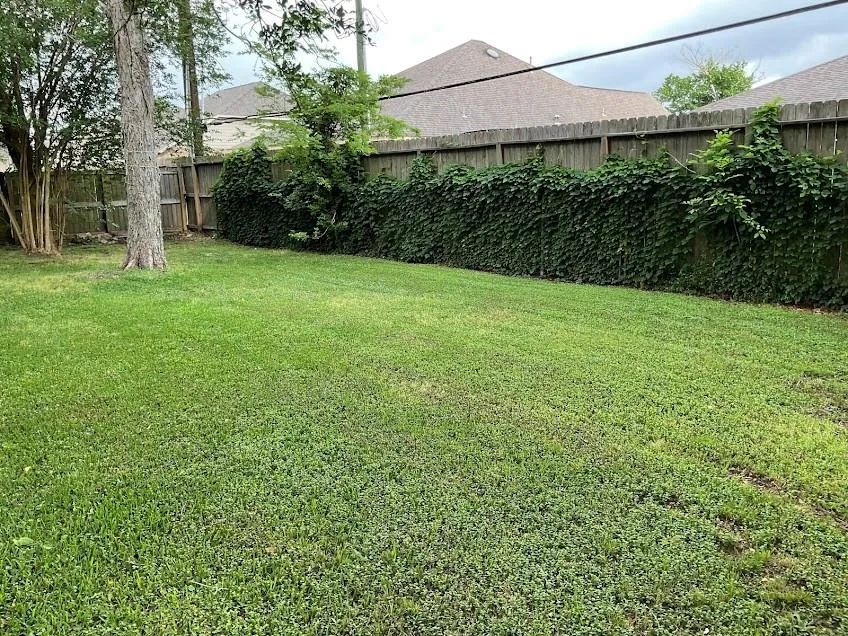 405 Oyster Creek Court Richwood, TX 77531
