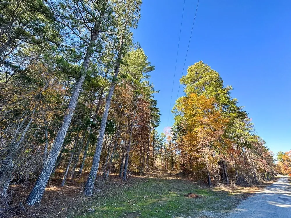 Hwy 37 Manchester, TX 75426