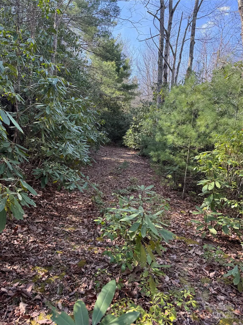 7797 Huskins Drive Newland, NC 28657