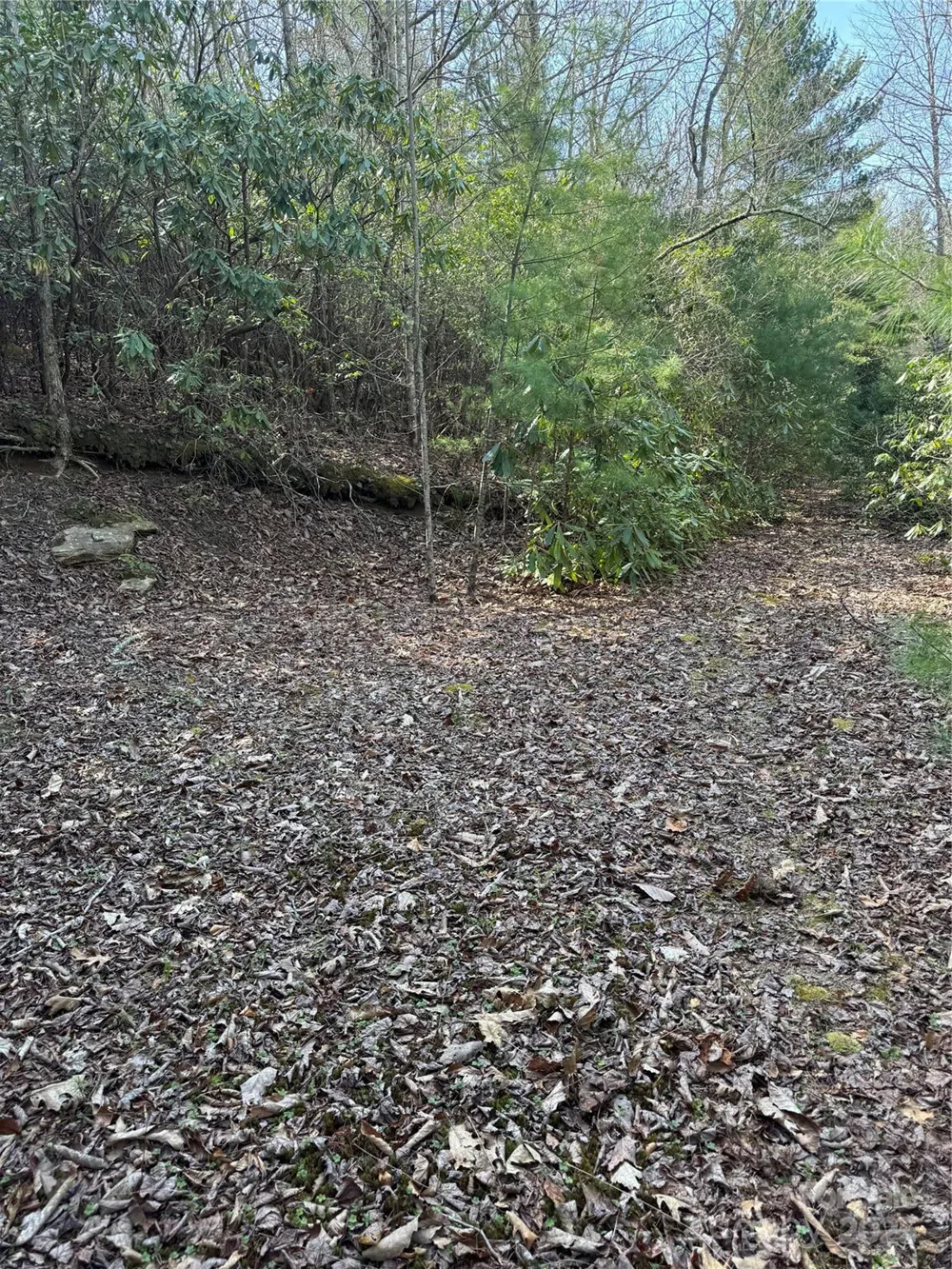 7797 Huskins Drive Newland, NC 28657
