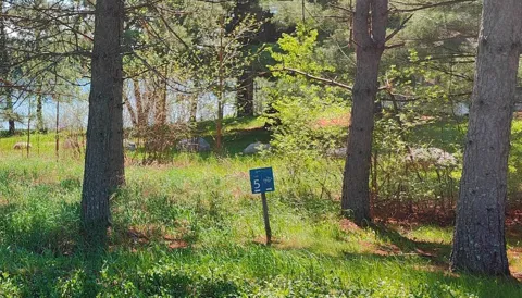 80075 Lake of Vermilion Road